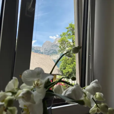 Lägenhet Apartma 35